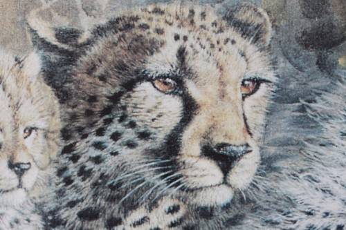 Incredible print of a group of cheetahs in the wild - stunningly framed behind glass - RS17Sale