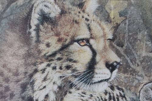 Incredible print of a group of cheetahs in the wild - stunningly framed behind glass - RS17Sale