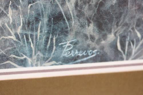 Incredible print of a group of cheetahs in the wild - stunningly framed behind glass - RS17Sale