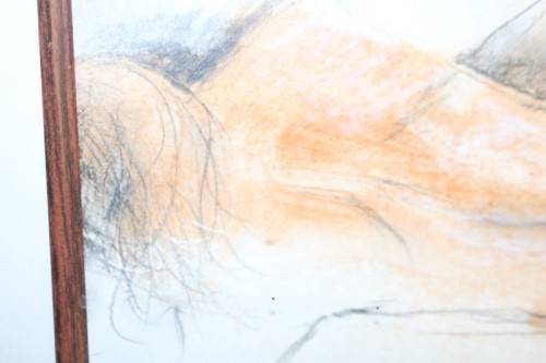 Awesome original signed Fiona Rowett framed "Nude" pastel artwork - remarkable art - RS17AB