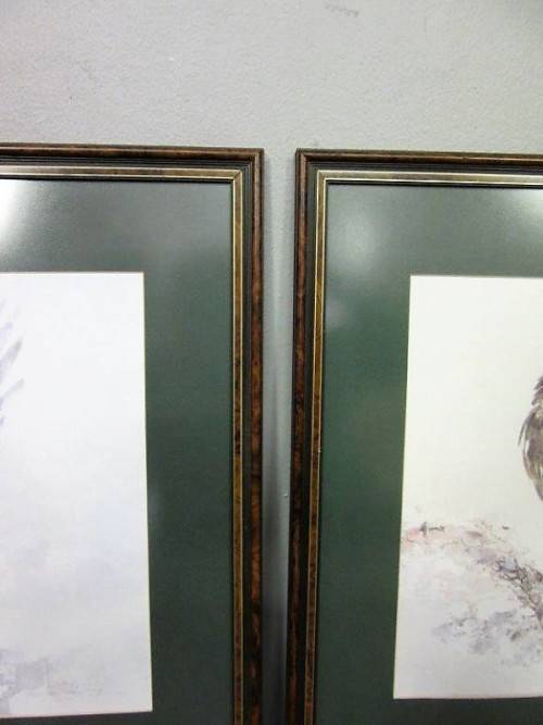 Two stunning (framed behind glass) wildlife birds-of-pray watercolour painting prints - RS17Sale