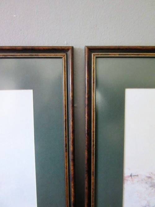 Two stunning (framed behind glass) wildlife birds-of-pray watercolour painting prints - RS17Sale