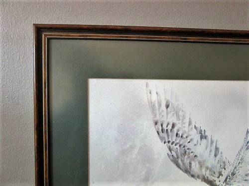 Two stunning (framed behind glass) wildlife birds-of-pray watercolour painting prints - RS17Sale