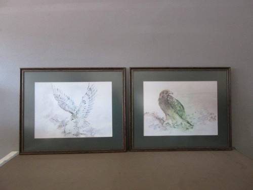 Two stunning (framed behind glass) wildlife birds-of-pray watercolour painting prints - RS17Sale