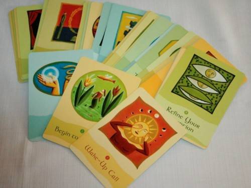 Soul Lessons & Soul Purpose (Oracle Cards) by Sania Choquette - 63 cards with a guidebook - RS17Sale