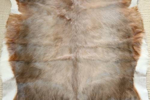 **RS17** A fantastic (1,4m x 1m) genuine Blesbok skin/ hide mat in great condition