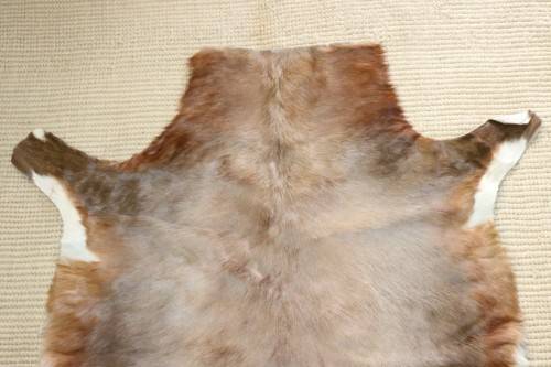 **RS17** A fantastic (1,4m x 1m) genuine Blesbok skin/ hide mat in great condition