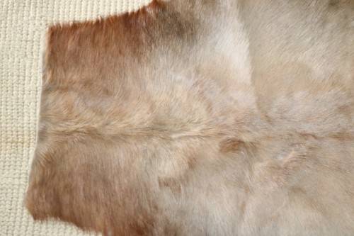 **RS17** A fantastic (1,4m x 1m) genuine Blesbok skin/ hide mat in great condition