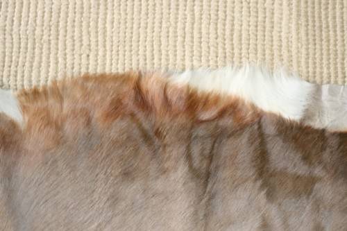 **RS17** A fantastic (1,4m x 1m) genuine Blesbok skin/ hide mat in great condition