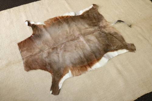 **RS17** A fantastic (1,4m x 1m) genuine Blesbok skin/ hide mat in great condition