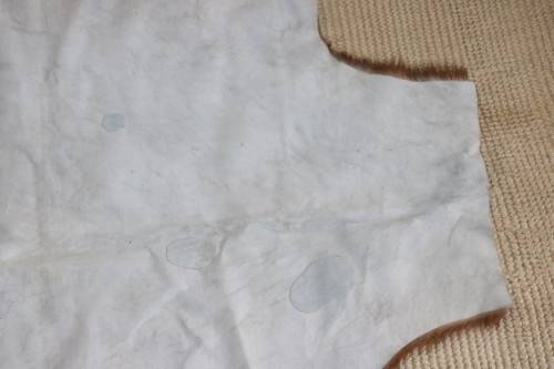 **RS17** A fantastic (1,4m x 1m) genuine Blesbok skin/ hide mat in great condition