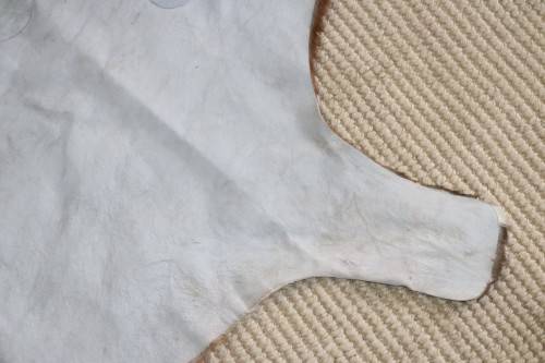 **RS17** A fantastic (1,4m x 1m) genuine Blesbok skin/ hide mat in great condition
