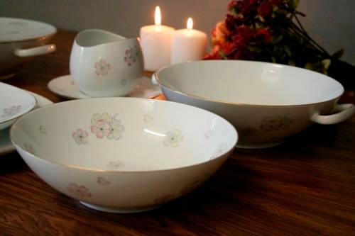 An incredible original vintage "Thomas" of Germany (Rosenthal) fine porcelain dinner service