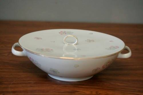 An incredible original vintage "Thomas" of Germany (Rosenthal) fine porcelain dinner service