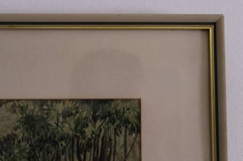 **RS17** A beautiful vintage signed "Forest Scene" watercolour painting framed behind glass