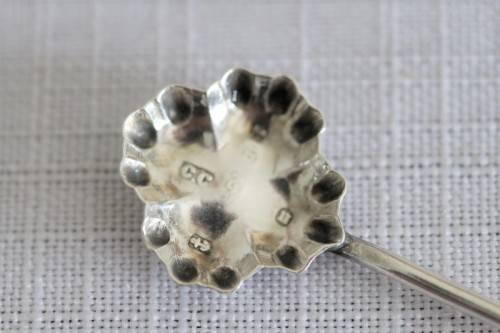 An incredible antique (1919) George V hallmarked sterling silver Colin Cheshire mustard/ mint spoon