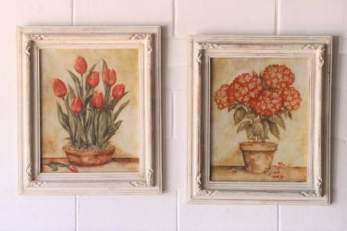 **RS17** A pair of whitewashed framed botanical prints incl red tulips and red & white hydrangea