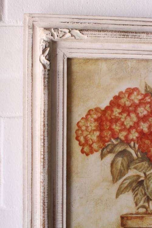**RS17** A pair of whitewashed framed botanical prints incl red tulips and red & white hydrangea
