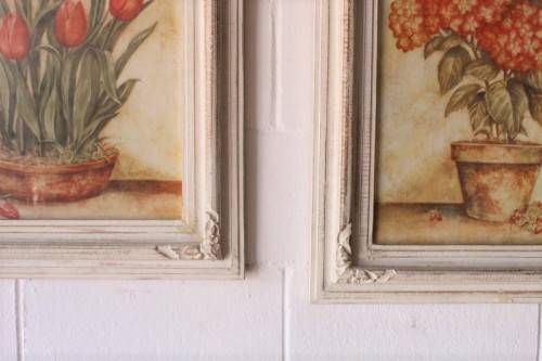 **RS17** A pair of whitewashed framed botanical prints incl red tulips and red & white hydrangea