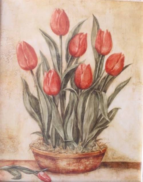 **RS17** A pair of whitewashed framed botanical prints incl red tulips and red & white hydrangea