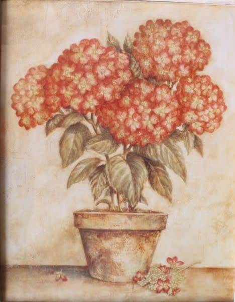 **RS17** A pair of whitewashed framed botanical prints incl red tulips and red & white hydrangea