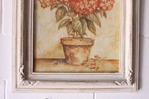 **RS17** A pair of whitewashed framed botanical prints incl red tulips and red & white hydrangea