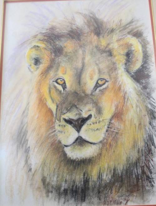 A fabulous large "Lion" print in a gorgeous frame - Impressive!!! Lifespace Sale