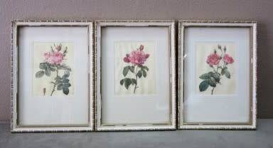 A lovely set of three small prints of roses in pretty frames. Lifespace Sale