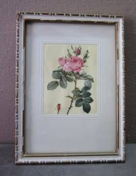 A lovely set of three small prints of roses in pretty frames. Lifespace Sale