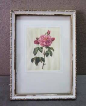 A lovely set of three small prints of roses in pretty frames. Lifespace Sale