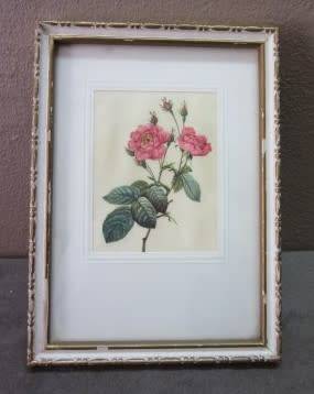 A lovely set of three small prints of roses in pretty frames. Lifespace Sale