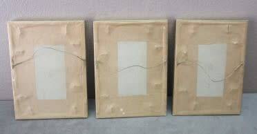 A lovely set of three small prints of roses in pretty frames. Lifespace Sale