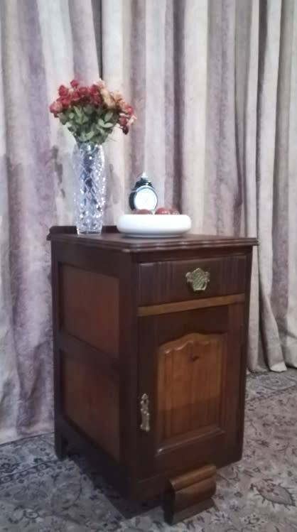 Vintage Imbuia single-door pedestal cabinet with a top drawer and brass handles-Lifespace Sale