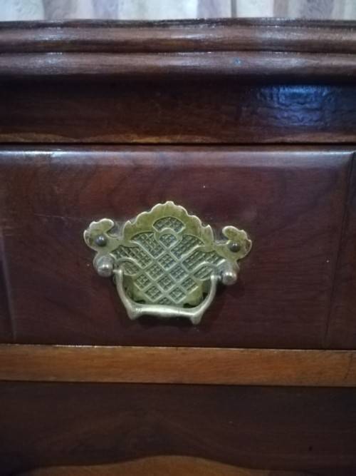 Vintage Imbuia single-door pedestal cabinet with a top drawer and brass handles-Lifespace Sale