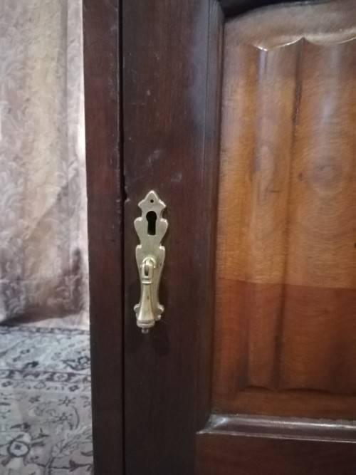 Vintage Imbuia single-door pedestal cabinet with a top drawer and brass handles-Lifespace Sale