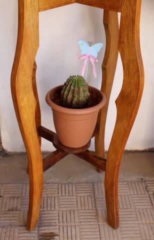 A superb vintage Teak double planter stand with a brass-ring bowl in wonderful condition.
