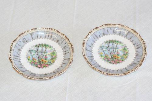 WOW!!! 2 ROYAL ALBERT 'SILVER BIRCH' BONE CHINA PLATES! BID PER PLATE... SEE MY FULL SETS ON BOB!