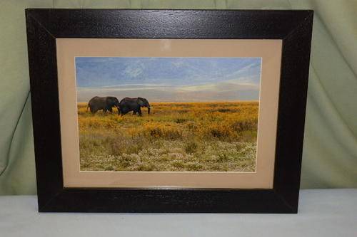 A STUNNING FRAMED PHOTOGRAPH OF TWO WILD ELEPHANTS WALKING IN THE BUSH WITH AMAZING COLOURING