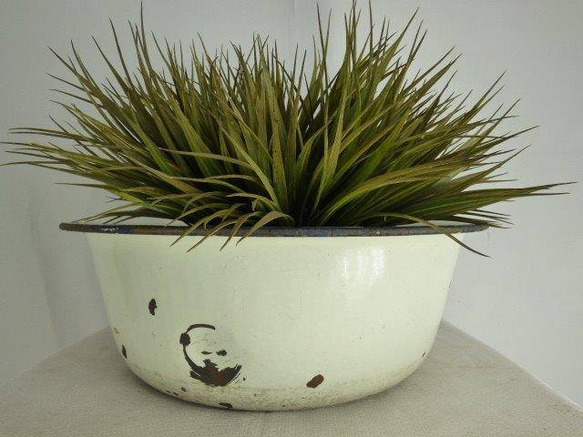 2 AWESOME LARGE ROUND WHITE AND BLUE ENAMELWARE BASINS WITH LOADS OF CHARACTER!! PERFECT FOR PLANTS!