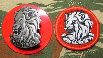 SANDF - State Presidents Guard Cap Badge Pair
