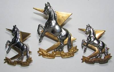 SADF - Technical Service Cap and Collar Badges
