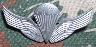 Chile Basic Parachute Wing