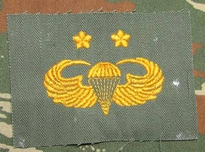 Republic of China Senior Cloth Wing