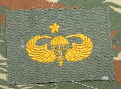 Republic of China Basic Cloth Wing