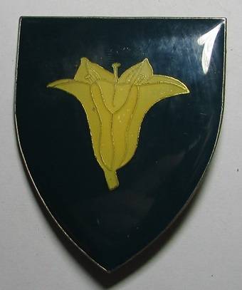 SADF - Bloemhof Commando Shoulder Flash