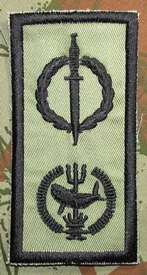 SANDF - Combined Operator and Attack Diver Qualification Badge ( Used for a short time )