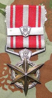 SA Police Star for Combating Terrorism with Bar - Full Size Medal To :Konst.G.M White 51681F