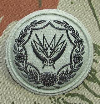 SANDF - Rubberised Voluntary Service Breast Badge