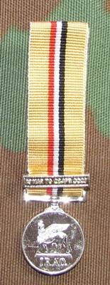 Miniature Iraq Operation Telic Medal