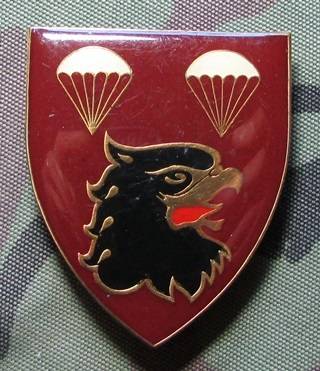 SADF - 2 Parachute Battalion Shoulder Flash
